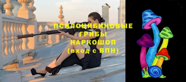 СК Липки
